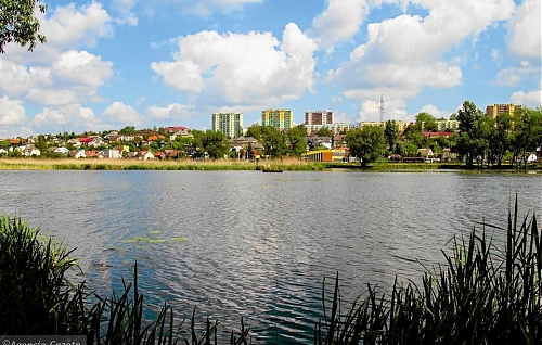 etiam-dapibus-purus-vel-felis-dictum